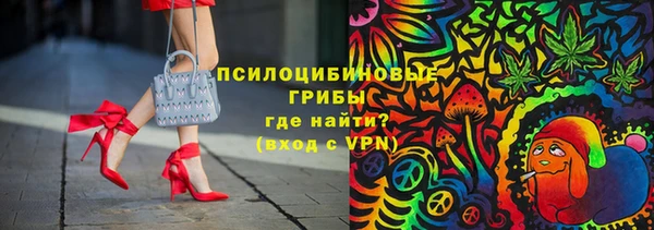 экстази Краснослободск